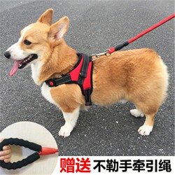 Dog Leash Harness-Style Walking Rope for Teddy, French Bulldog, Corgi, Medium and Small Dogs, Pet Supplies Chest Harness
