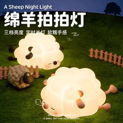 Creative Night Light Gift for Girlfriend or Best Friend, Stress-Relief Toy, High-End Atmosphere Bedside Lamp, Bedroom Rechargeable Lamp