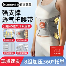 Zhigao's New Waist Support Belt, 360-Degree Waist Protection, Essential for Fitness, Correction Belt for Lumbar Disc Massage and Prolonged Sitting