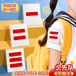 Crew Leader, Primary School Student, Young Pioneers Logo, Two Stripes, Team Leader, Three Stripes, One Stripe, Small Team Leader, Class Leader, Armband, Member, District Committee Member, Middle School Committee Member, Badge, Pin, Does Not Damage Clothing, School