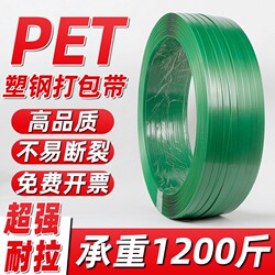 Plastic Strapping Tape, Plastic Packing Tape, Binding Tape, Woven Packing Buckle, Manual Hot Melt 1608 Pet Packaging Tape, Bundling Tape