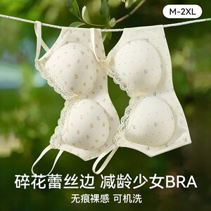 
French floral underwear for women with small breasts gathered, sweet lace edge, breathable girl student anti-sagging bra to collect secondary breasts