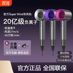 [German Seiko] Hair Conditioning Hair Dryer