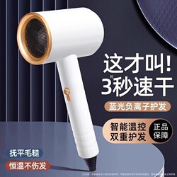Hair Dryer with Negative Ions for Hair Care, Silent Hair Dryer for Home Use, Powerful and Gentle on Hair, Suitable for Dormitories