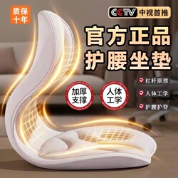 Ergonomic Backrest Lumbar Support Cushion Lumbar Seat Cushion Chair Office Long Sitting Waist Massager Seat Posture Corrector