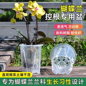 
Transparent root control basin, Qingshan basin, Phalaenopsis flower pot, special orchid sphagnum, plastic, breathable, hollow, large size for home use