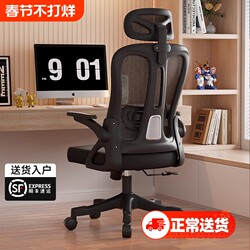Computer Chair for Home Use, Swivel Office Chair, Comfortable for Long Sitting, Gaming Chair, Study Chair with Backrest, Adjustable Office Chair, Comfortable