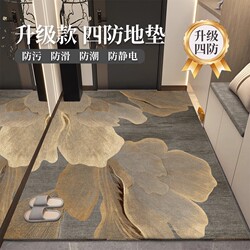 Entrance Door Mat, Entryway Carpet, Household Door Mat, Non-Slip, Luxury High-End Living Room Mat, Foyer Rug, Customizable