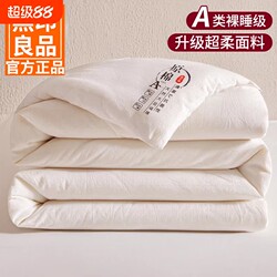 Muji Soybean Fiber Quilt, Suitable for All Seasons, Thickened for Winter Warmth, Single Cotton Quilt