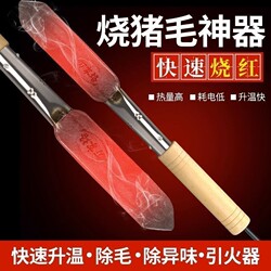Pig Hair Burning Tool, Electric Iron for Burning Pig Hair, Small Portable Household Electric Iron, High-Power Meat Sealer