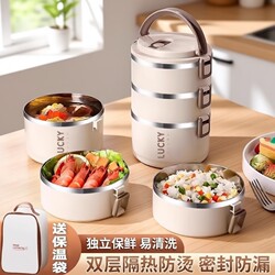 Stainless Steel Lunch Box, Lunch Box for Office Workers, Multi-Layer Lunch Box, Student Lunch Box, Insulated, Large Capacity, Microwaveable, Double Layer