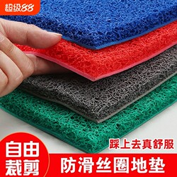 Entrance Door Mat, Plastic Wire Loop Door Mat, Carpet, Outdoor Non-Slip Mat, Blue Entrance Mat, Green Bathroom Mat