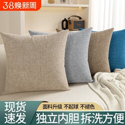 High-End Sofa Throw Pillow, Living Room Cushion, Chair Lumbar Support, Headboard Backrest Cushion, Pillow Cover Without Insert, Removable and Washable, Square Shape
