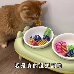 Cat Teasing Toy: Colorful Plastic Spring Teaser Stick for Cats, Self-Entertainment and Boredom Relief, Durable and Bite-Resistant for Kittens