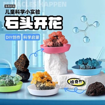 Stone blossom children's planting experiment children primary school diy handmade educational growth stone toys