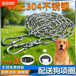 Dog Chain Stainless Steel 304 Dog Leash Chain Small Dog Iron Chain Collar Dog Rope Lock Buckle for Walking Large Dogs