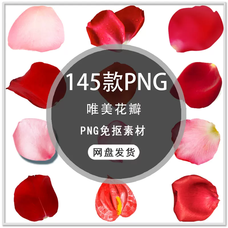 手绘唯美飘落漂浮桃花樱花玫瑰花花瓣粉色玫瑰花瓣png免扣素材