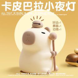 Kapibara Night Light Birthday Gift for Girls, Practical Decoration for Boys, New Year's Eve and Christmas Gift for Girlfriend