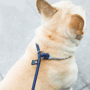 Dog traction rope, slipping P chain, neck, neck, medium -sized dog explosion -proof Untitami anti -breaking pet supplies wholesale
