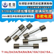 Ống cầu chì thủy tinh âm thanh thổi chậm 5*20mm T1AL/2A/3A/5A-10A250V 6X30