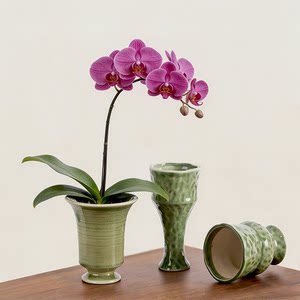 
Phalaenopsis flower pot Phalaenopsis special pot ceramic household planting pot light luxury high-end home furnishings with base