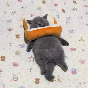 
Elizabeth collar kitten sterilization soft collar adjustable headgear cat and dog anti-licking and biting artifact pet neck collar