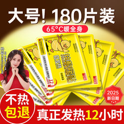 Self-Heating Warm Patches for Women, Thermal Patches for Body Warmth, Menstrual Pain Relief, 24-Hour Official Flagship Store Genuine Product
