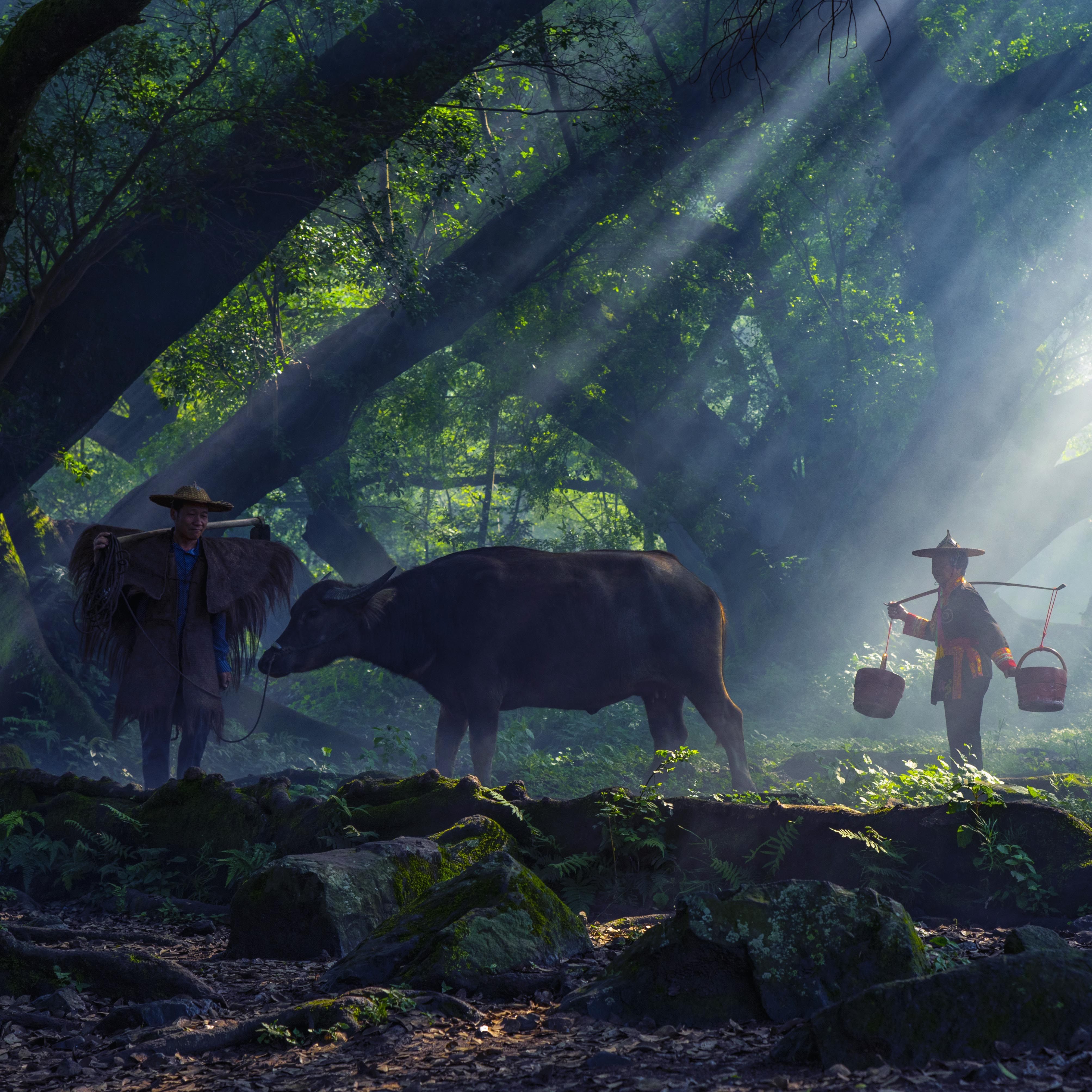 福建霞浦滩涂2天1晚 旅游摄影 2人成团 天天发团