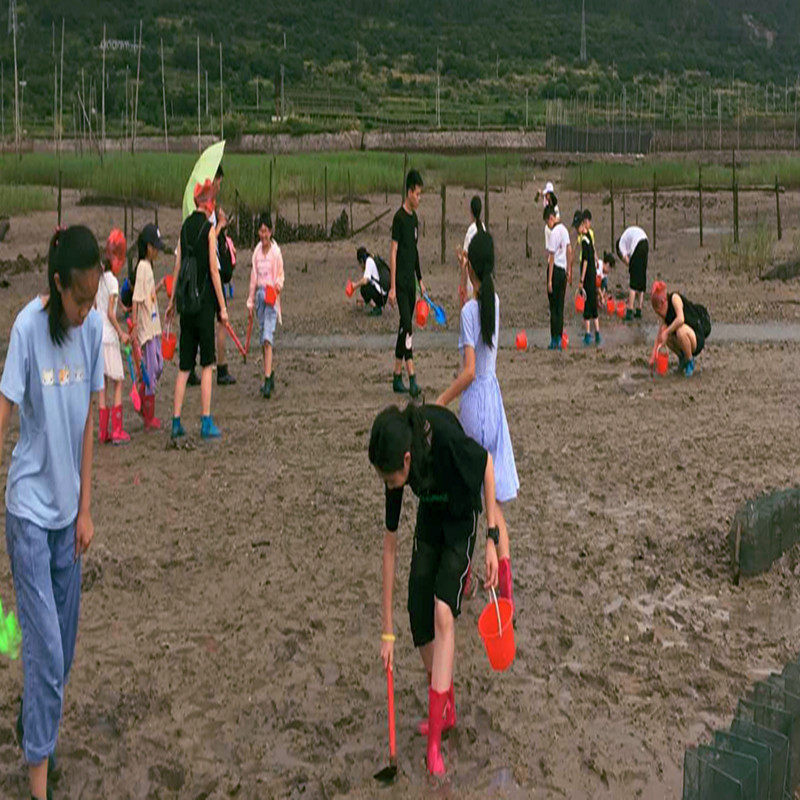 霞浦牛屿滩涂赶海/花竹/杨家溪/大京沙滩/半月里古村/东安岛3日游
