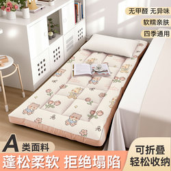 Floor Mattress Soft Pad for Home Use, Sleeping Pad for Student Dormitory, Single Tatami Mat, Special Floor Mat for Sleeping on the Ground