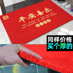 Thickened Wire Loop Entrance Door Mat 2024 New Model Entrance Floor Mat Carpet Foot Mat Foyer Outdoor Washable and Stain-Resistant