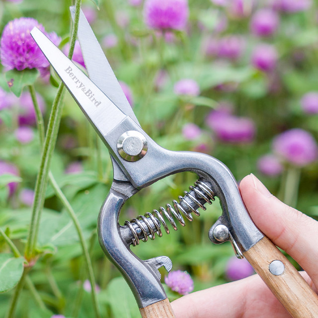 Should Pruning Shears Be Curved Or Straight: Expert Guide