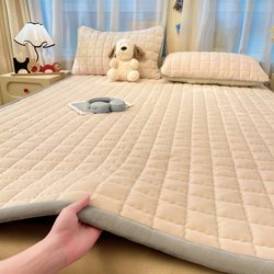 Thickened Milk Velvet Mattress Pad, Class a Maternal and Infant Grade Mattress Pad, Single Mattress Pad, Coral Velvet Pad, Bedding, Bed Blanket 3