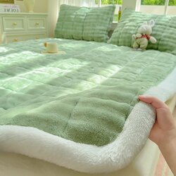 Bubble Velvet Mattress Pad for Home Use, Thickened Bed Pad, Milk Velvet Mat, Coral Fleece Single-Person Rental Mattress