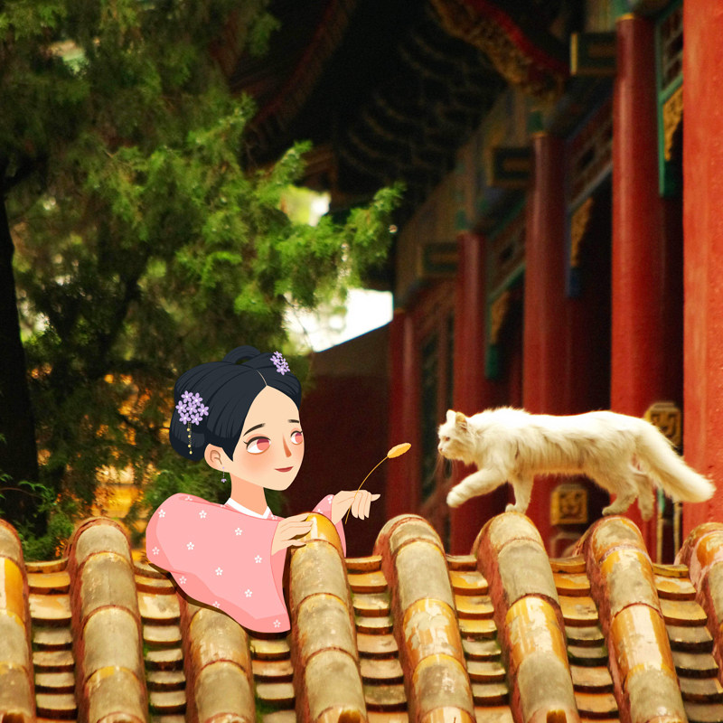 北京6天5晚亲子父母跟团游故宫颐和园圆明园天安门广场八达岭长城