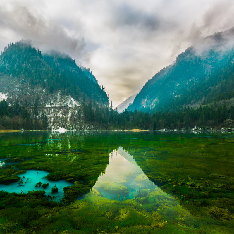 峨眉山+乐山大佛+九寨沟7天6晚跟团游四川成都都江堰熊猫乐园黄龙