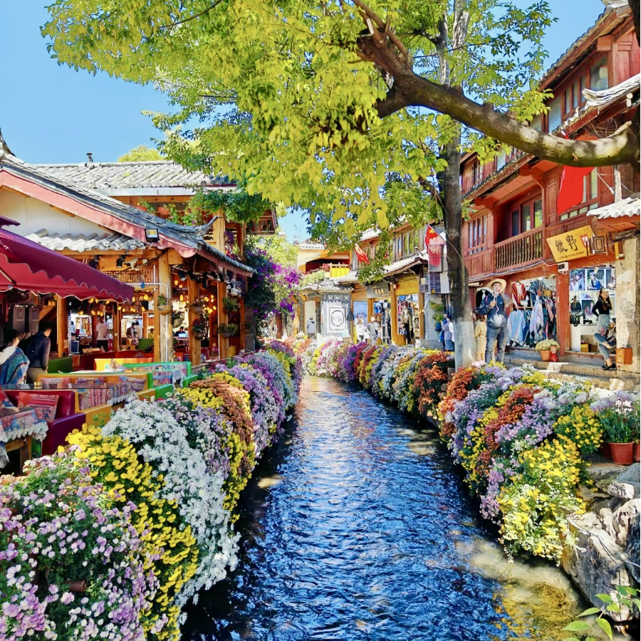 12人小团!纯玩0自费!云南旅游跟团游昆明大理丽江6天5晚 含机票