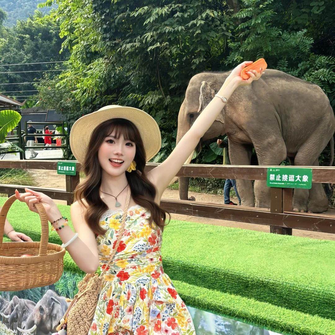 【9人小团】直飞版纳野象谷纯玩5天4晚全程四钻睡到自然醒含机票