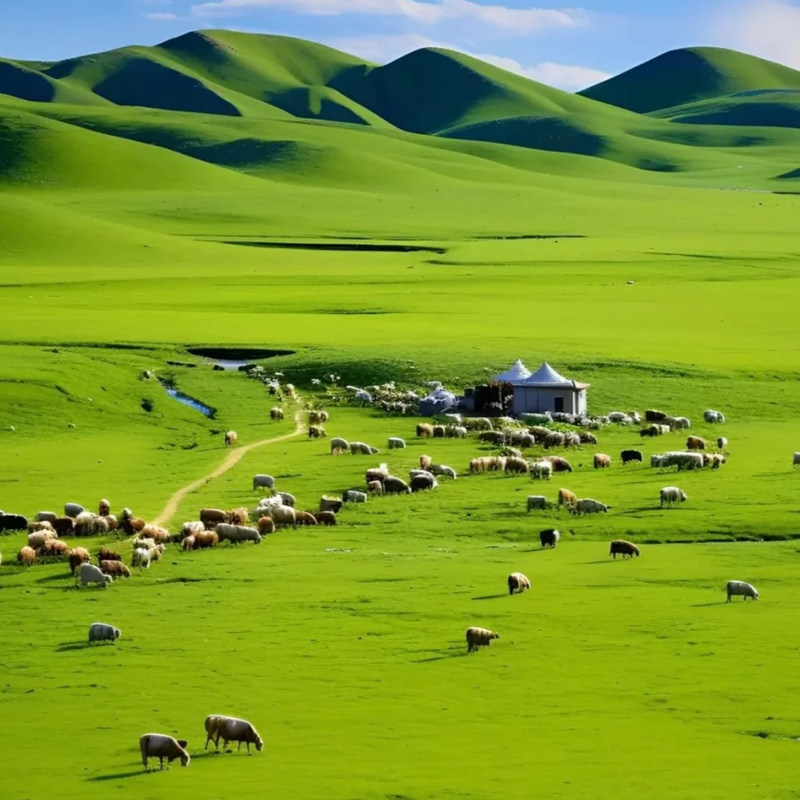 重庆旅游洪崖洞长江索道磁器口李子坝WFC观景台重庆市区纯玩一日