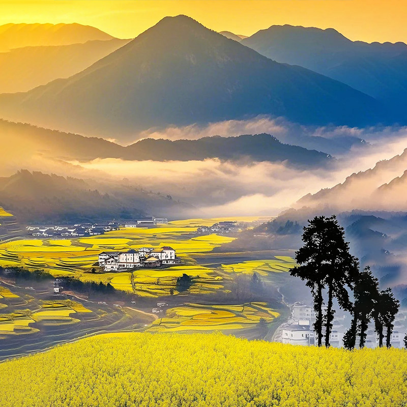 江西跟团游5天4晚旅游纯玩庐山婺源婺女洲景德镇望仙谷三清山五日