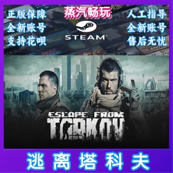 Steam Genuine Escape from Tarkov Global Region Brand New Account White Account