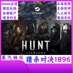 Steam Official Version Hunt: Showdown 1896 Brand New Account, Ready-To-Use Account, New Account