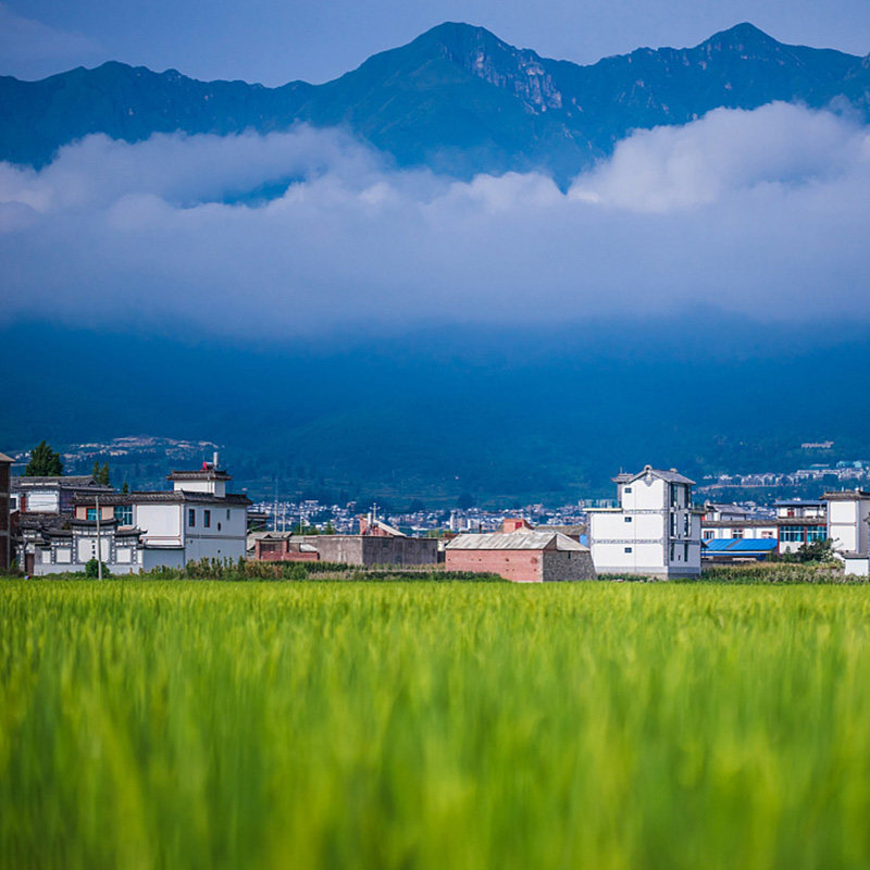 【私家团】云南旅游昆明丽江大理纯玩6天5晚包车半自由行含高铁