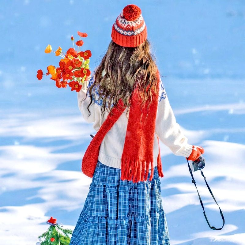 东北哈尔滨雪乡延吉长白山万达雾凇岛吉林长春旅游7天6晚私家团