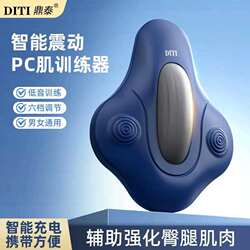 Dingtai Rechargeable Kegel Trainer Electric Pc Muscle Trainer for Men and Women Home Use Waist, Hip, and Pelvic Floor Exercise Aid