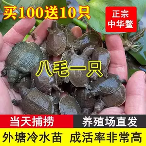 不锈钢地插钓甲鱼- Top 1000件不锈钢地插钓甲鱼- 2024年4月更新- Taobao