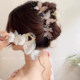 Agile butterfly clip female high-end 2025 new style back head shark clip large hair volume large hair clip