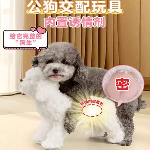 
Pet Teddy Pomeranian dog girlfriend vents couple toys and supplies companion fire simulating bitch factory store