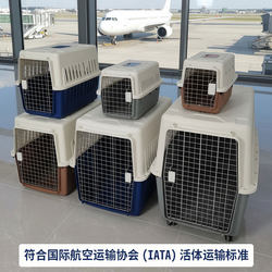 Ibel Pet Travel Crate for Cats and Dogs, Portable Carrier for Air China and China Southern Airlines Standard Checked-In Luggage, Optional Iron Mesh Window