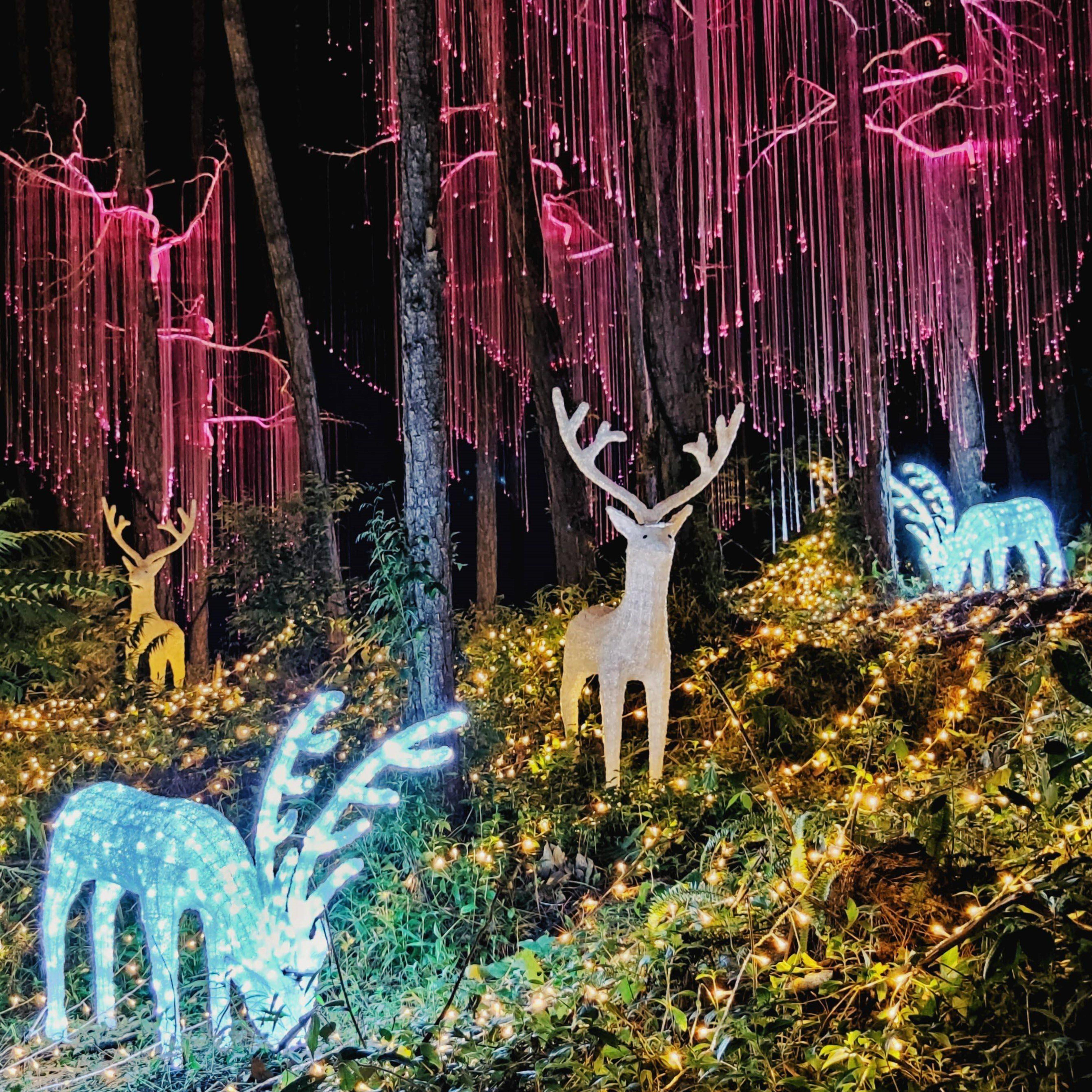 【惠荐】清远佛冈森波拉酒店+无限次火山温泉-入住主楼 直通车2天